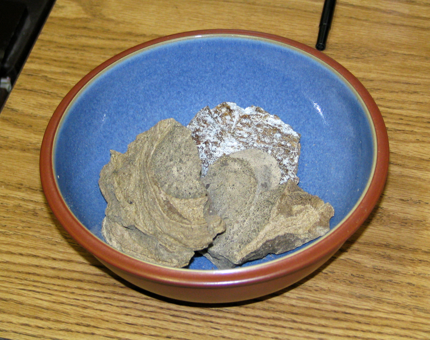 What makes the whale excreted ambergris highly expensive?
