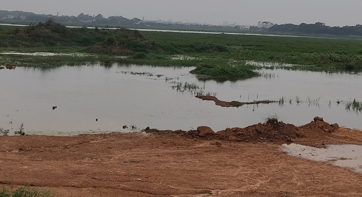 Bellandur lake