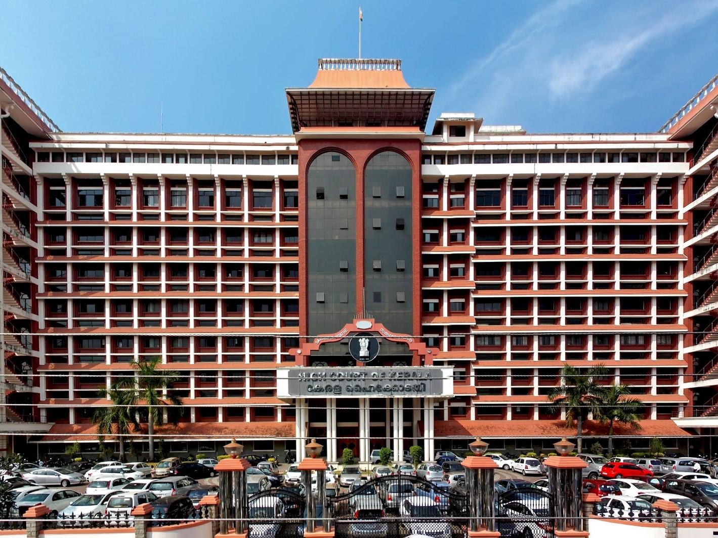termination of pregnancy in incest case