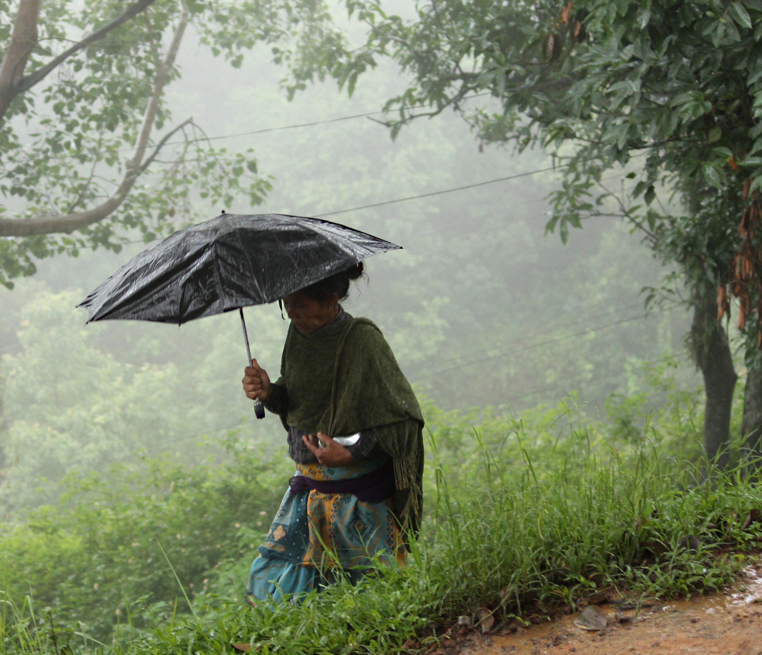 Heavy rain in Kerala