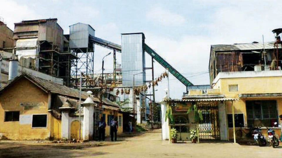 MySugar was fated to resume operation in July 2022 but its revival seems unrealistic with cane growers lingering in inconvenience. (Credit: Supplied)