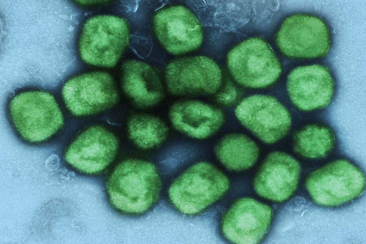 WHO declares mpox outbreak a public health emergency