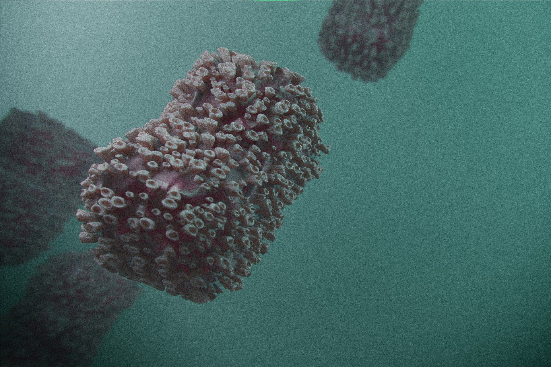 Monkeypox virus