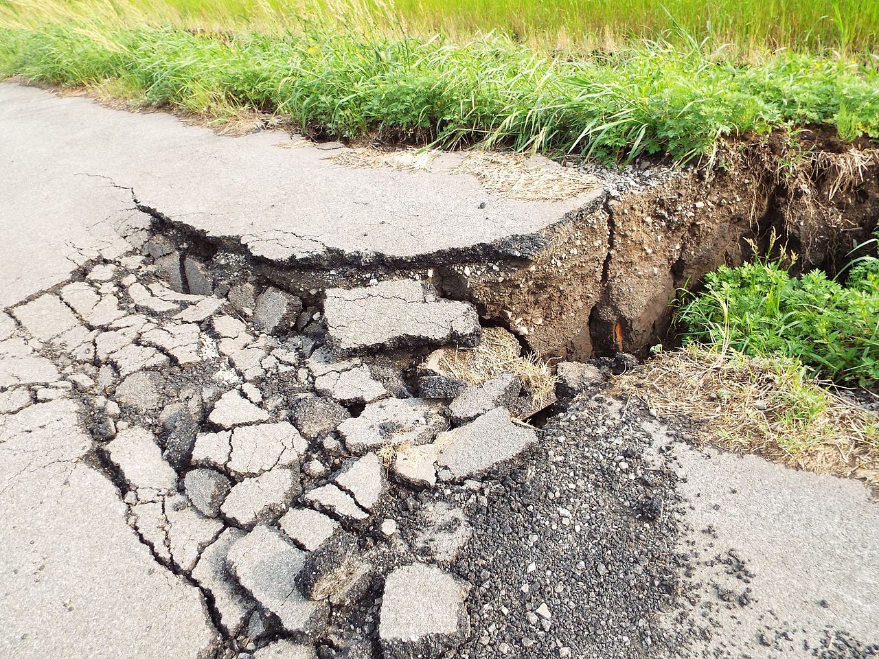 According to the National Centre of Seismology data, Earthquakes with low intensity have been reported in the districts of Hassan, Kodagu, Dakshina Kannada, Kalaburagi and Bidar.