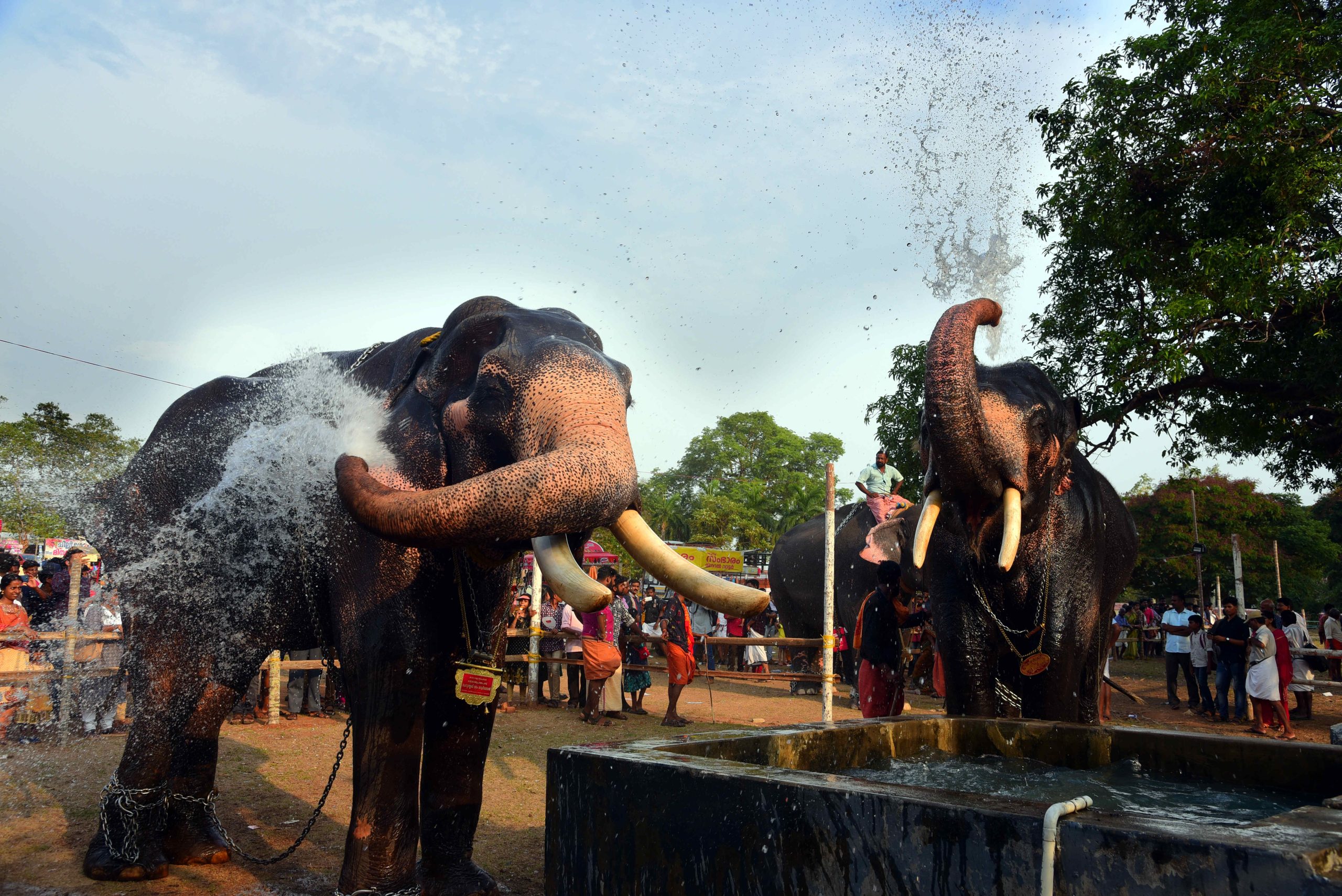 Thrissur Pooram