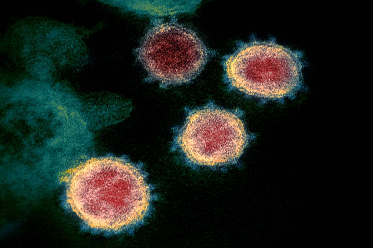 Southern states are witnessing surge in Covid-19 cases due to Omicron sub-variants.