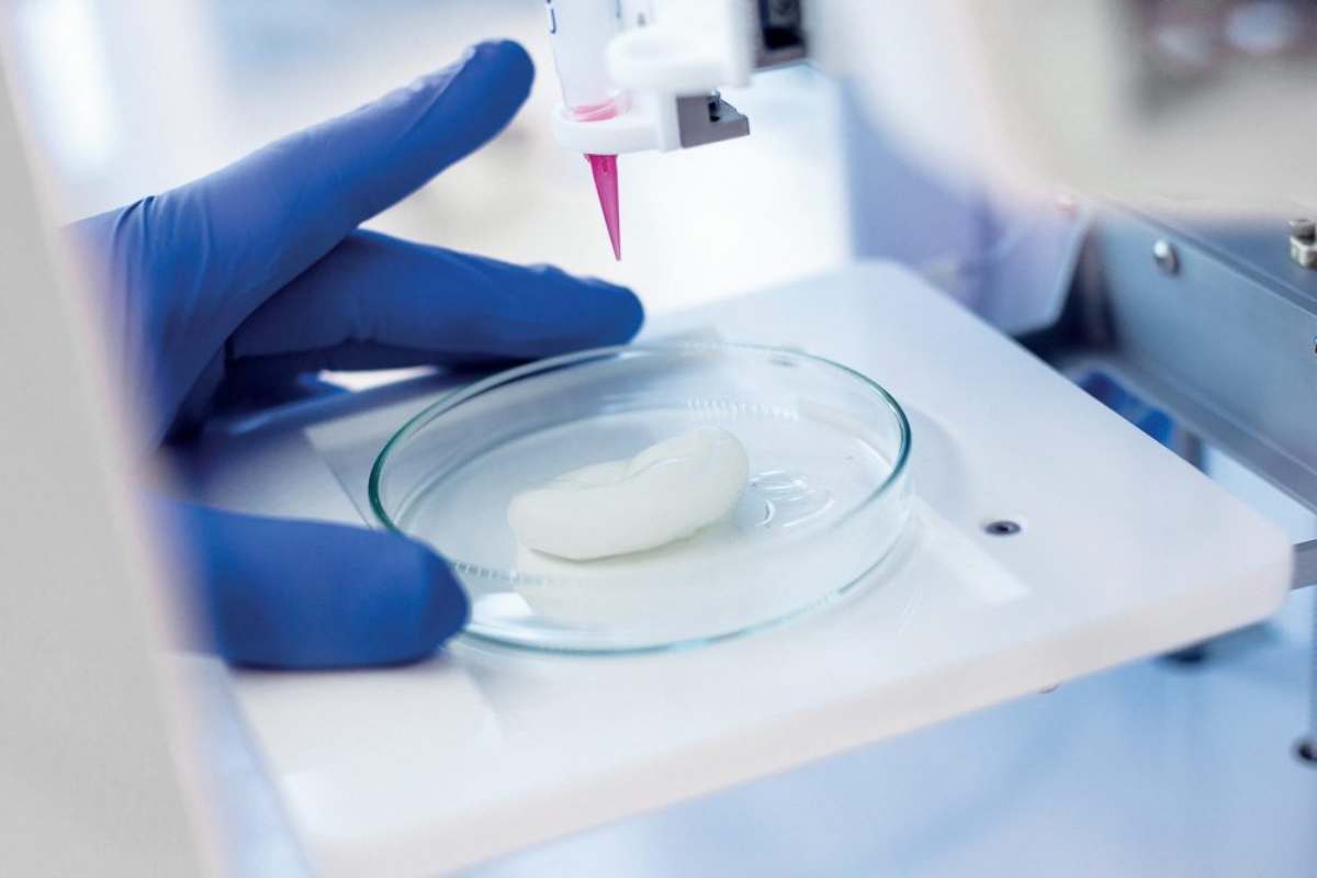 The Centre of Excellence (CoE) will be focused on advancing research across heart, bone, cartilage and cancer research through the use of 3D bioprinting.(Creative Commons)