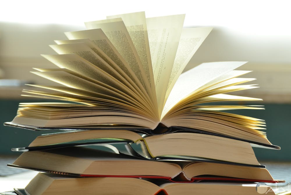 Bharat and India to be used interchangeably says NCERT chief