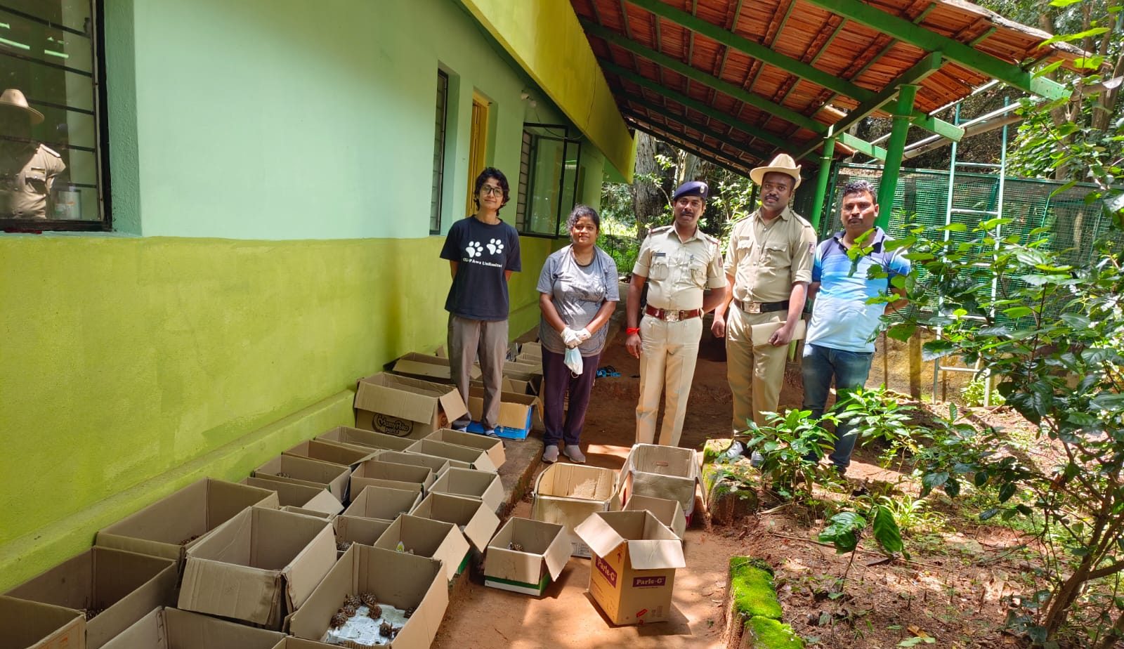 Rescued star tortoises at the Bannerghatta Rescue Centre