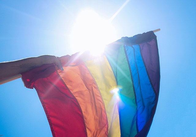 LGBTQIA flag