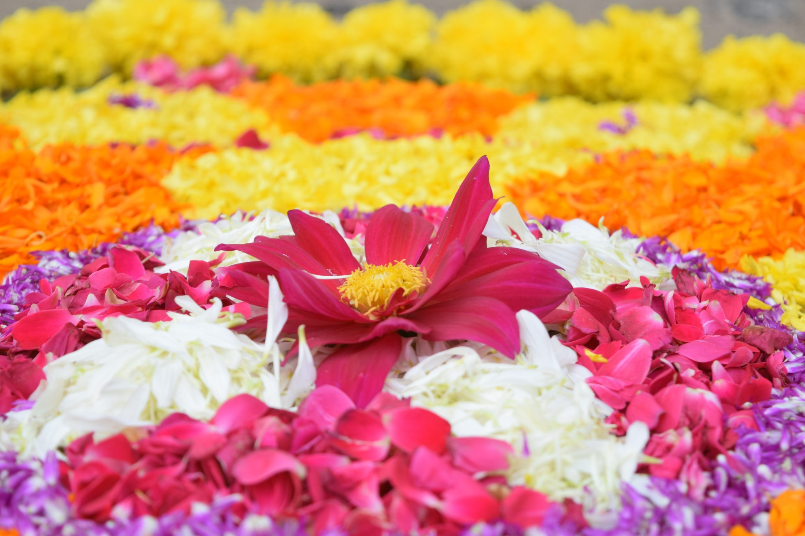 Malayalis around the world celebrate Onam with full glory after 2 years of pandemic