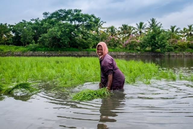 Kerala Agricultural University, KERA join hands for climate-resilient farming