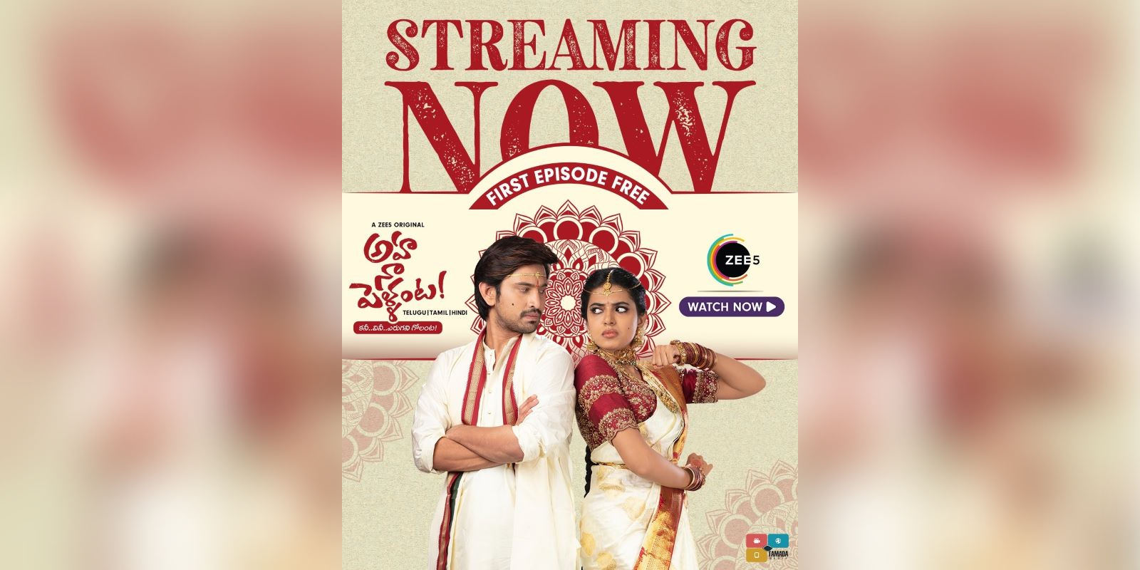 Aha Na Pellanta web series review