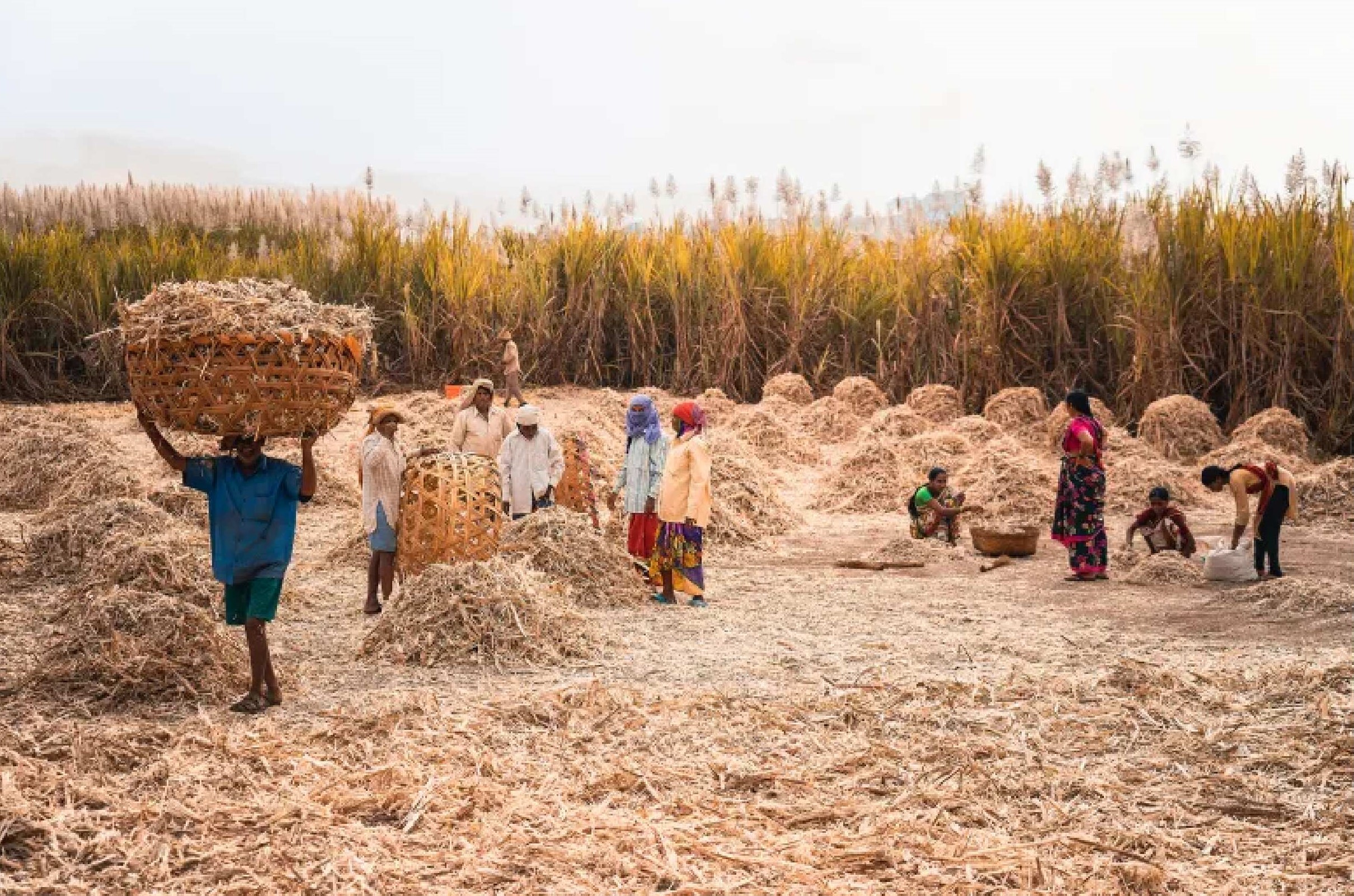Kerala tops rural India for daily wages of workers.