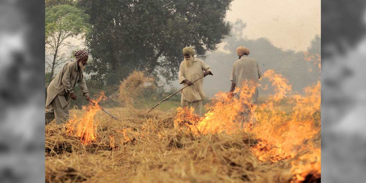 Stubble Burning