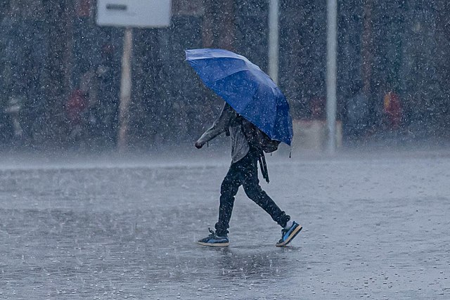 Rains