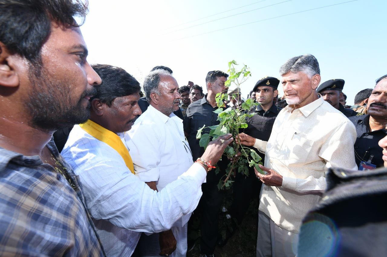 Chandrababu Naidu