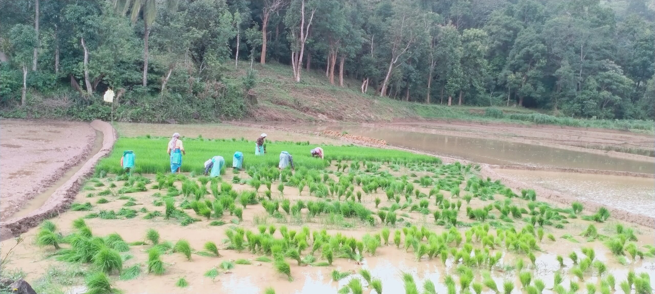 agri