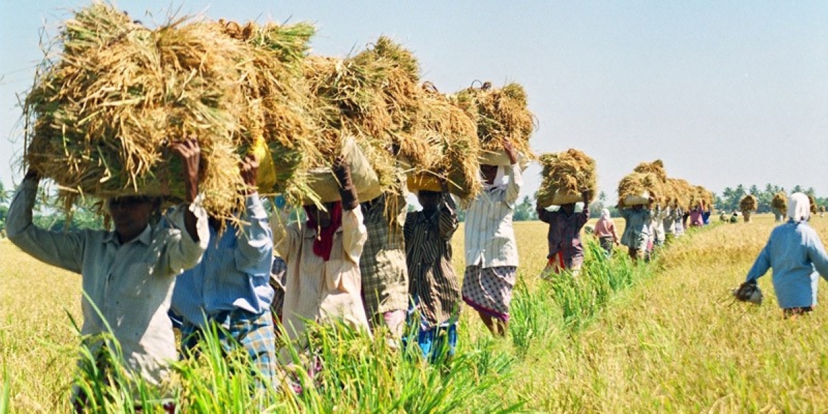 Kerala Farmers Issue