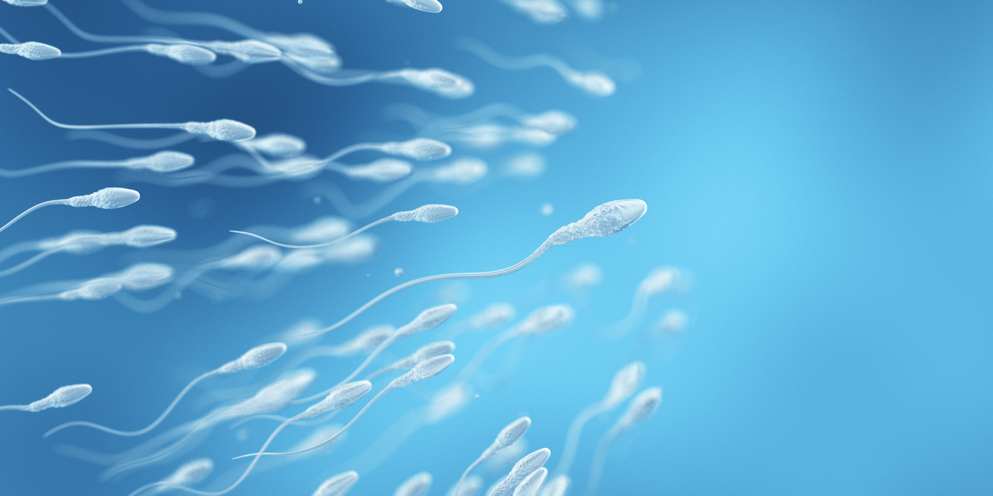 Semen Covid-19