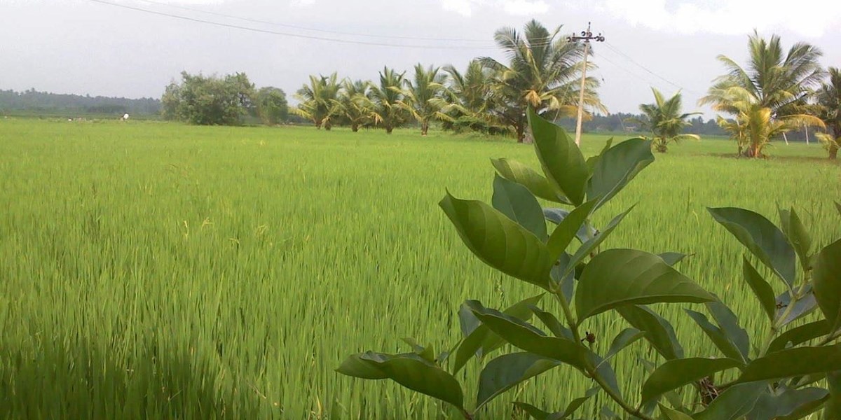 land records Tamil Nadu