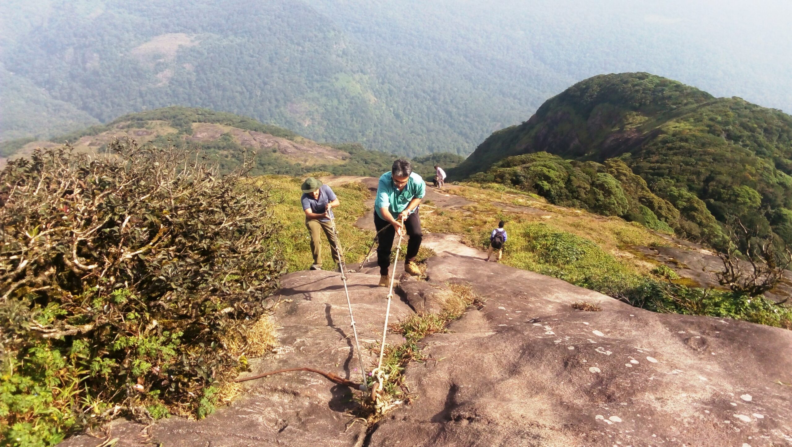 Trekkers climb the Agasthyakoodam located inside the Neyyar Wildlife Sanctuary. (KA Shaji/South First)