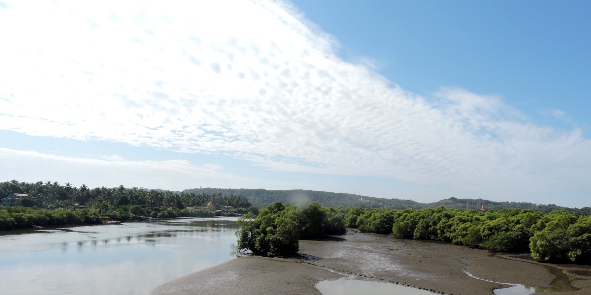 Mahadayi river dams