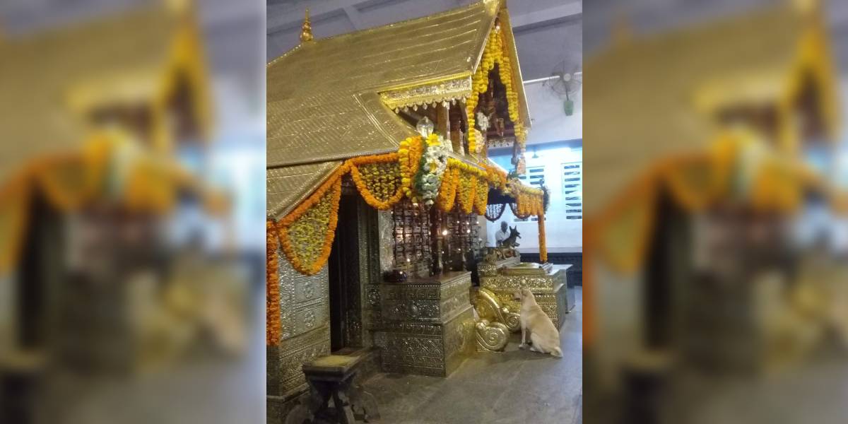 A temple where dogs are brought for their naming ceremony — and good health