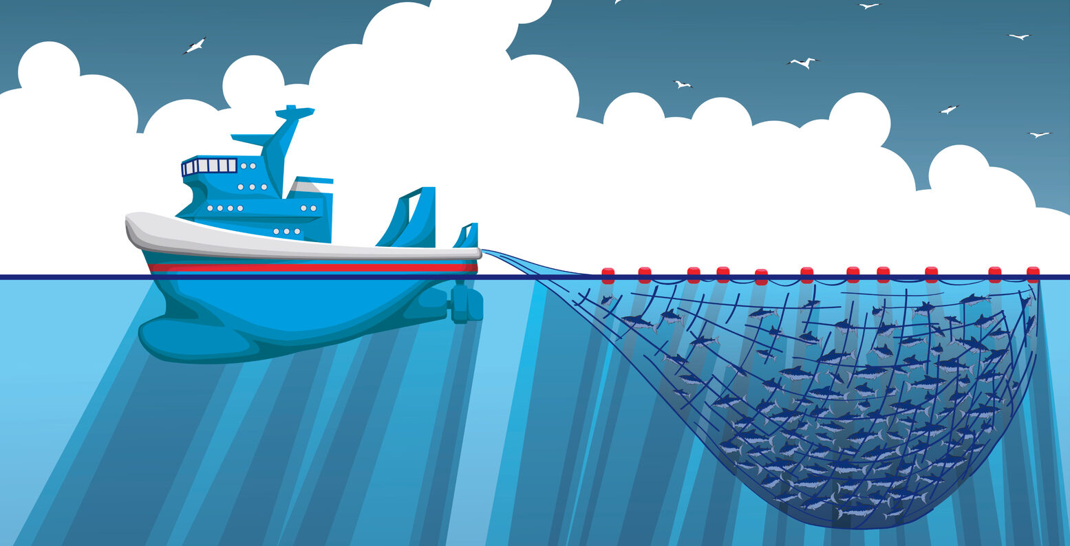 Purse seine fishing nets Tamil Nadu