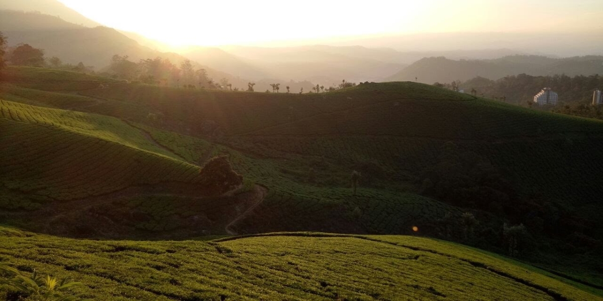 Munnar snowfall Kerala Tourism