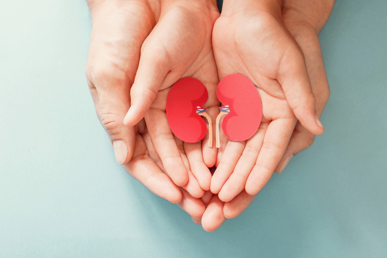 kidney donation