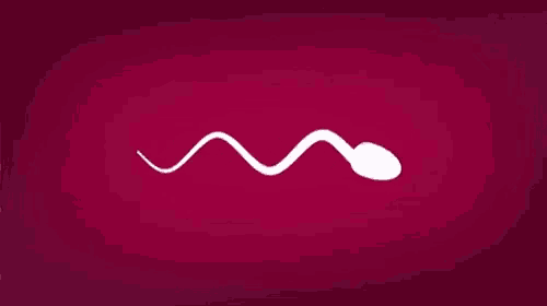 sperm-swimming-sperm