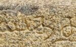 Inscription in Thenneri temple that notes that Sembiyan Mahadevi is the mother of Madurantaka Uttama Chola and the wife of Gandaraditya Chola