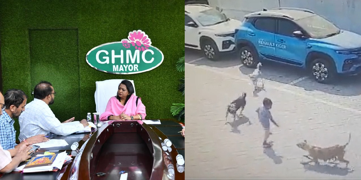 75% of stray dogs in Hyderabad have already been sterilised, says GHMC, as 4-year-old mauled to death
