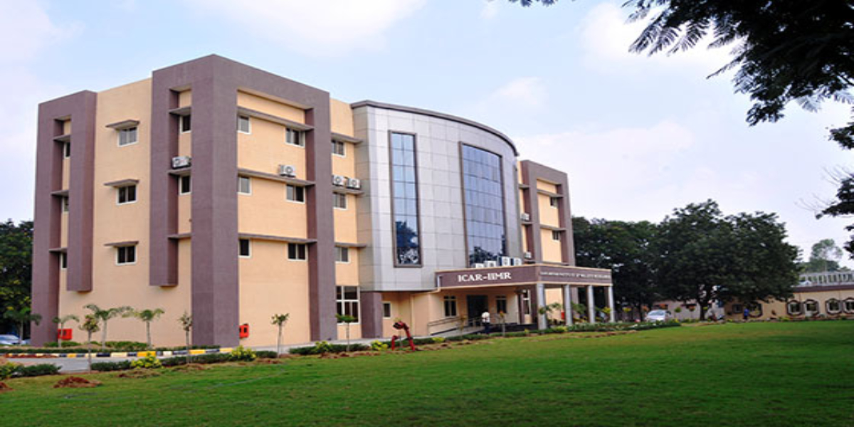 IIMR budget