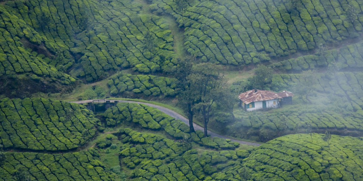 The event was organised by the Association of Tourism Trade Organisations, India (ATTOI) with support from Kerala Tourism. (Wikimedia Commons)