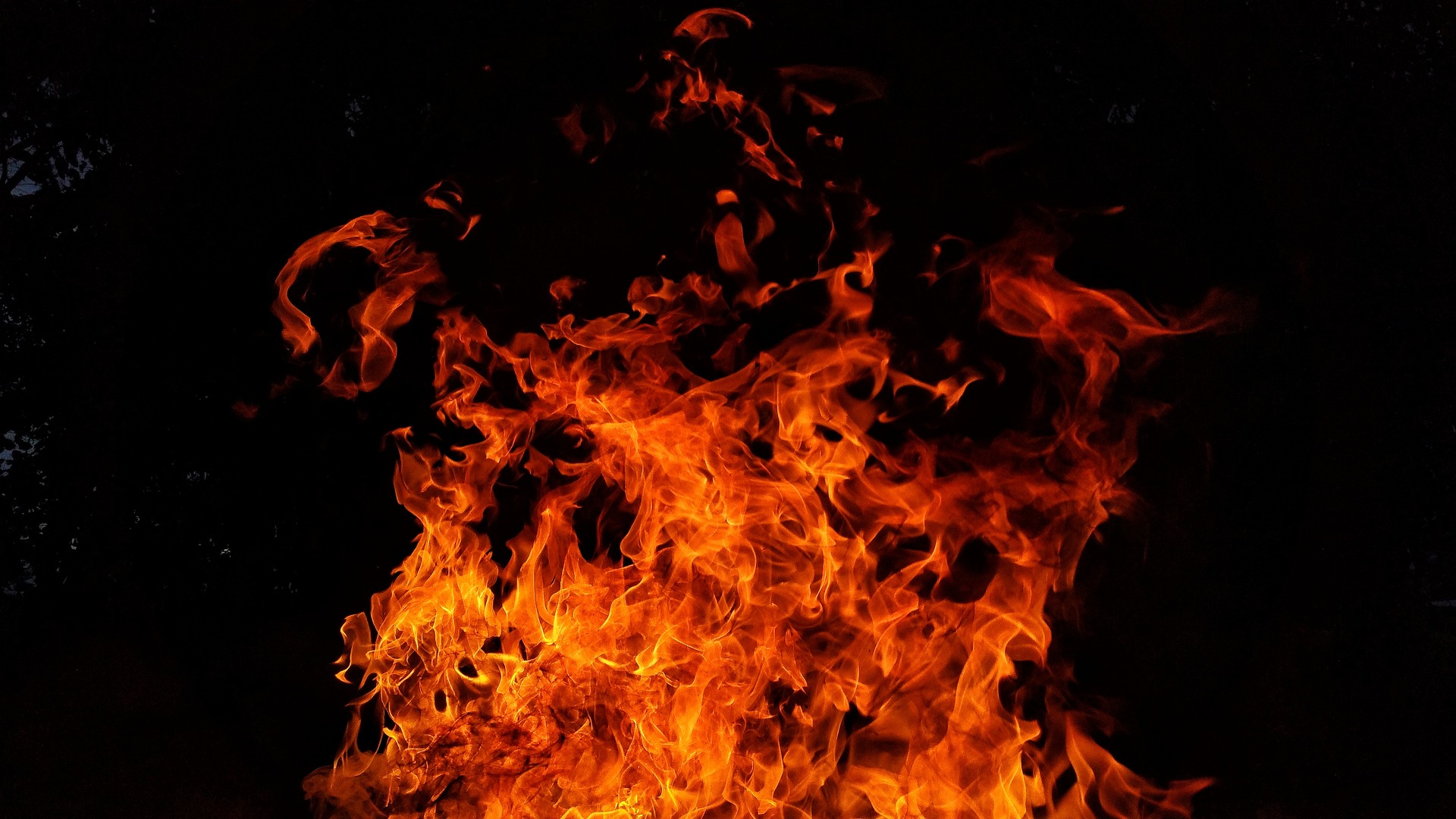 The incident occurred near the district government hospital in Kannur on Thursday, 2 February, 2023. (Representational image/Creative Commons)