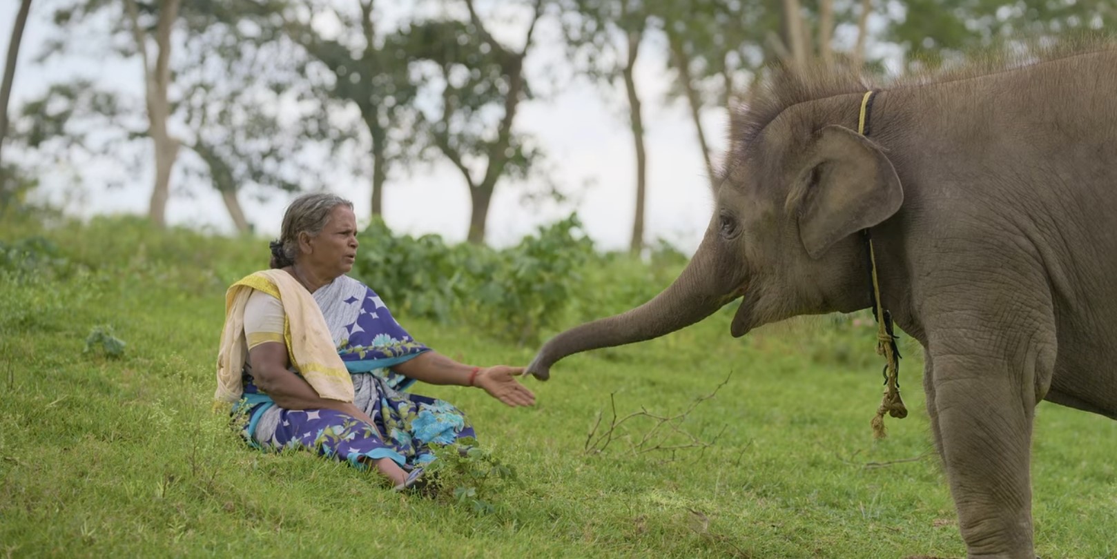 The Elephant Whisperers