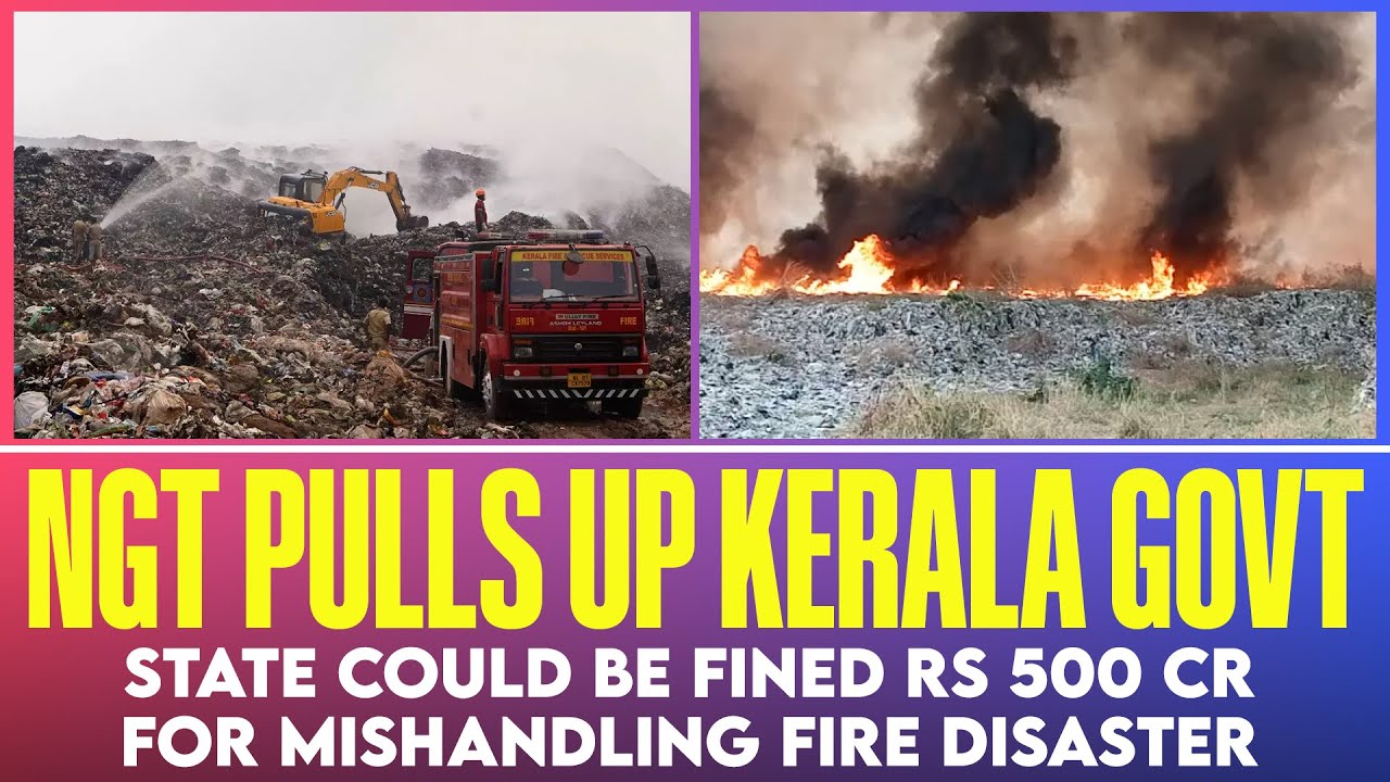 NGT fine Kochi