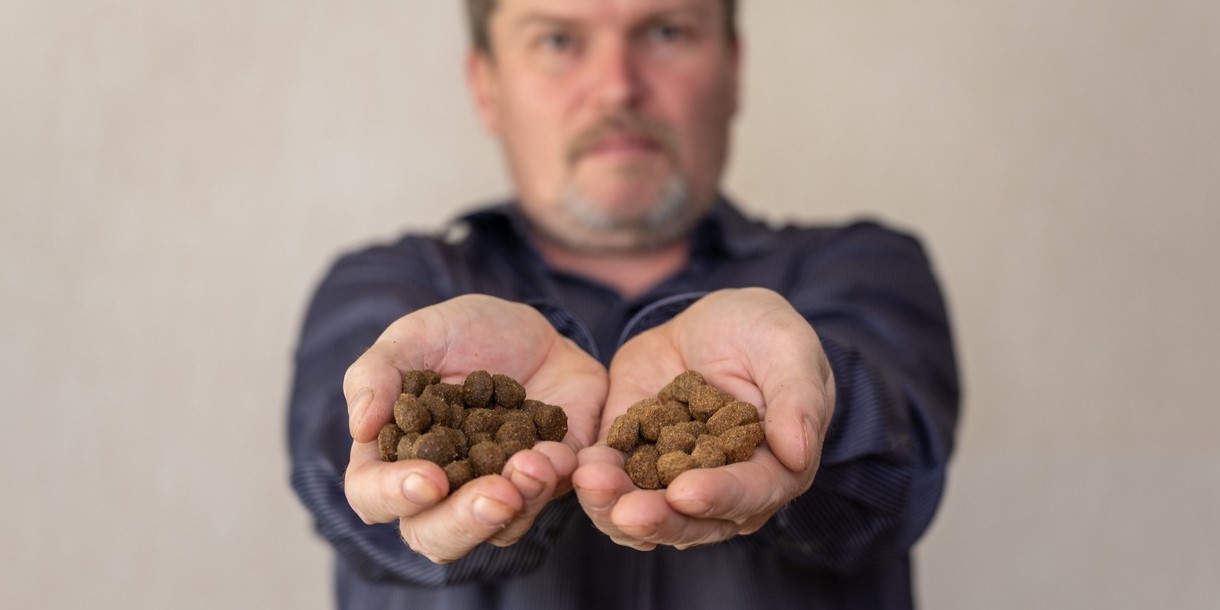 Many from India are starting to wonder if eating dog food really helps build muscles after a trend appeared on TikTok. (iStockphoto)