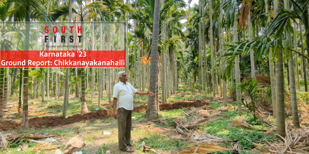 Chikahalli-Areca