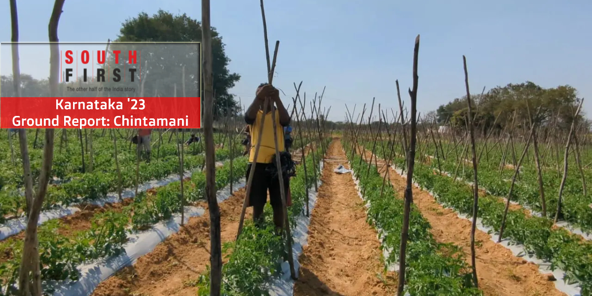 Chintamani town in Karnataka is a bustling hub that links the commercial activities of the Chikkaballapur and Kolar districts