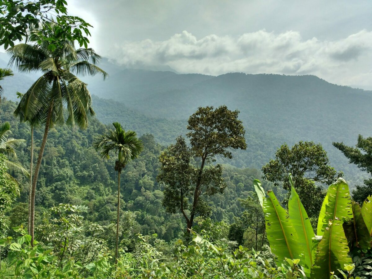 Brewing discontent among coffee planters over pending dues out in the open in Araku LS seat in AP
