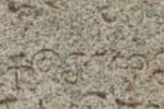 Inscription in Thenneri that calls it Kulothunga Chola Chaturvedimangalam