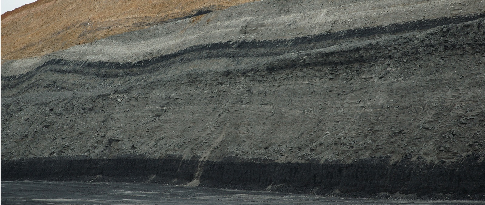 Black Gold Part-II: Farmers question TN’s silence on earlier auction attempts, say mining only ‘over our bodies’