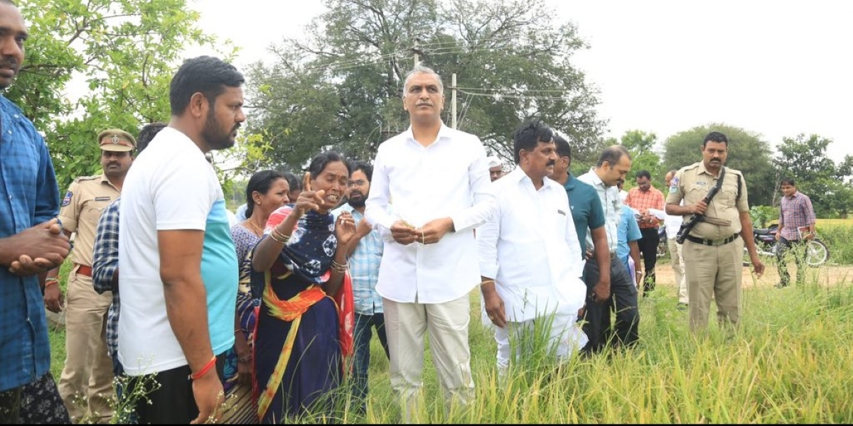 Telangana farmers rain
