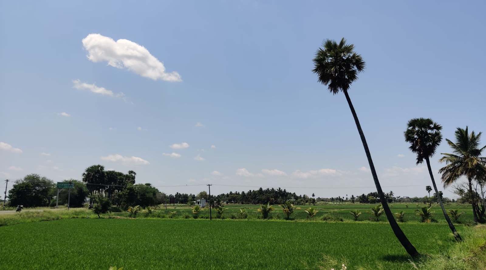 Tamil Nadu coal mining Cauvery delta region