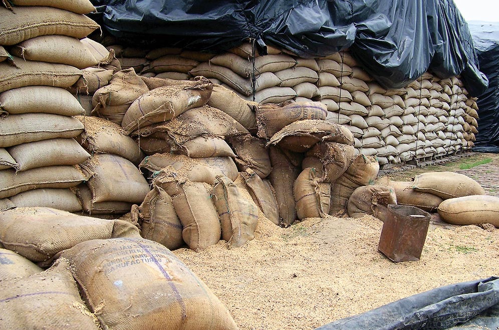 7,000 tonnes of paddy missing in Tamil Nadu! Warehouses in a sorry state