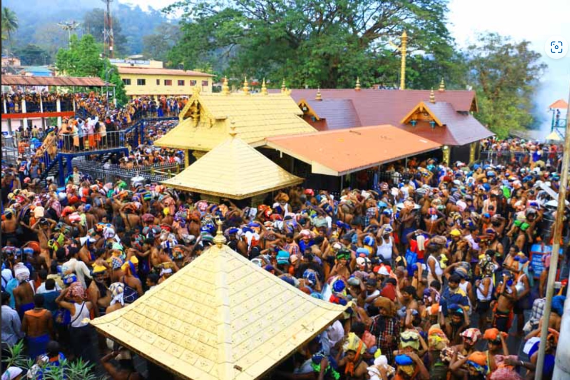 Sabarimala environment and butterflies