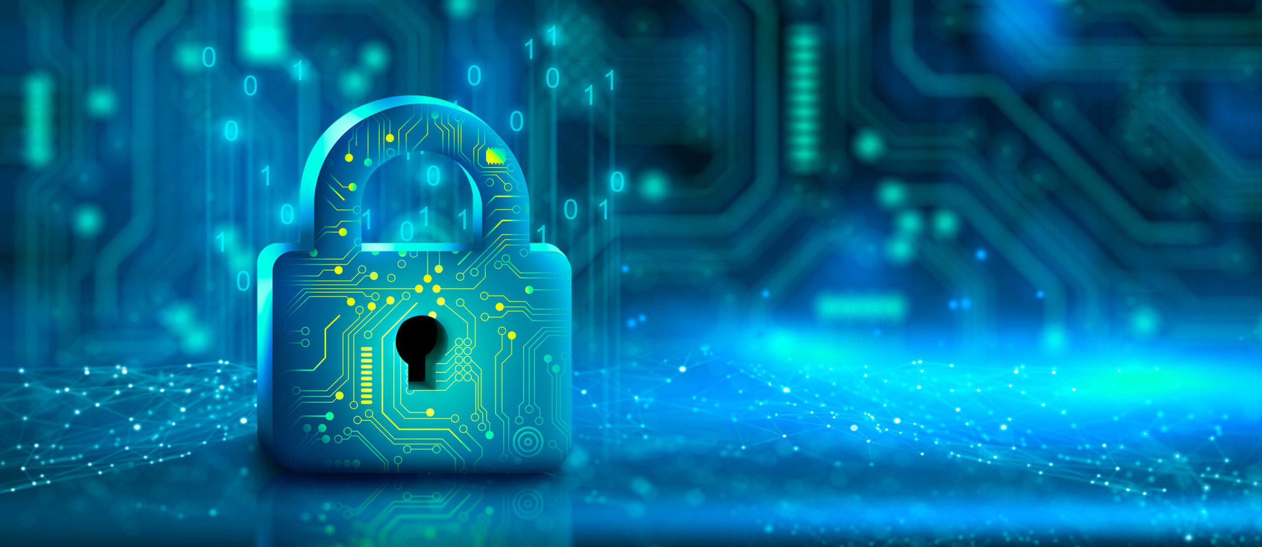 Data Protection Law India